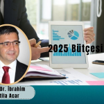2025 Bütçesi