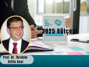 2025 Bütçesi