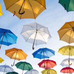 Brittle Skeletons Crocheted from Discarded Textiles