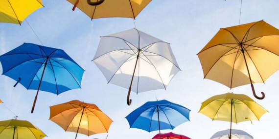 Sanatın Çeşitli Alanları