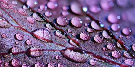 Türk Seramik Sanatının Dünü. Bugünü ve Geleceği