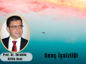 Genç İşsizliği