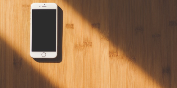 Mobil Devletin Geleceği