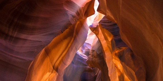 Trump Döneminde Neler Oldu.