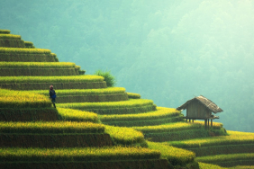 The Asia-Pacific's Best Lawyers and Law Firms