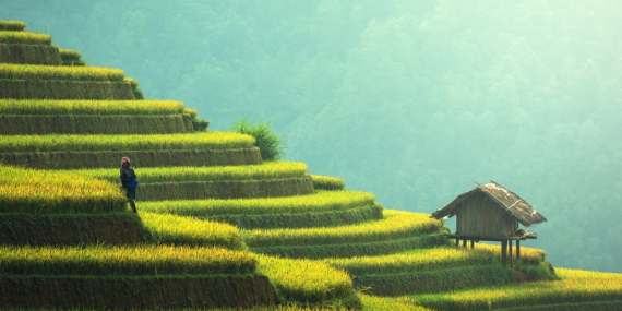 Tarım Sektöründe Gerekli Yapısal Değişiklikler