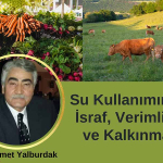 Su Kullanımında İsraf, Verimlilik ve Kalkınma