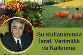 Su Kullanımında İsraf, Verimlilik ve Kalkınma