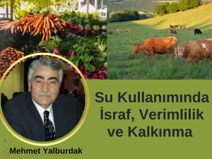 Su Kullanımında İsraf, Verimlilik ve Kalkınma