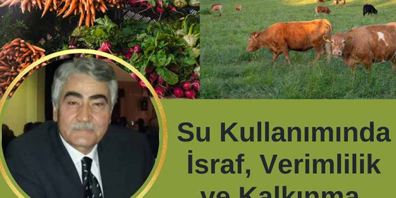 Su Kullanımında İsraf, Verimlilik ve Kalkınma
