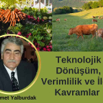 Teknolojik Dönüşüm, Verimlik ve İlgili Kavramlar