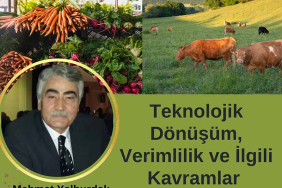 Teknolojik Dönüşüm, Verimlik ve İlgili Kavramlar