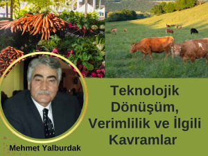 Teknolojik Dönüşüm, Verimlik ve İlgili Kavramlar