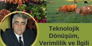 Teknolojik Dönüşüm, Verimlik ve İlgili Kavramlar