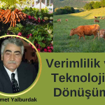 Tarımdan Geçimini Sağlayanlar Geçinebiliyor mu?