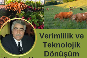 Tarımdan Geçimini Sağlayanlar Geçinebiliyor mu?