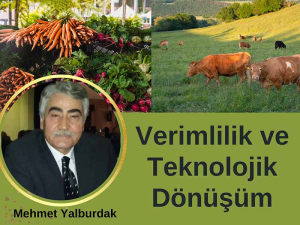 Tarımdan Geçimini Sağlayanlar Geçinebiliyor mu?