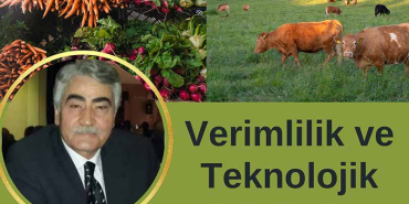 Tarımdan Geçimini Sağlayanlar Geçinebiliyor mu?